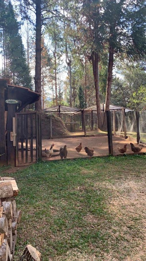 Chale De Luxo Pertinho De Monte Verde مونتي فيردي المظهر الخارجي الصورة