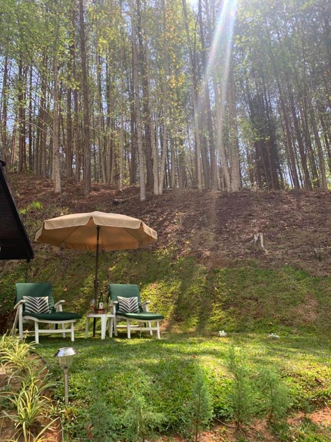 Chale De Luxo Pertinho De Monte Verde مونتي فيردي المظهر الخارجي الصورة