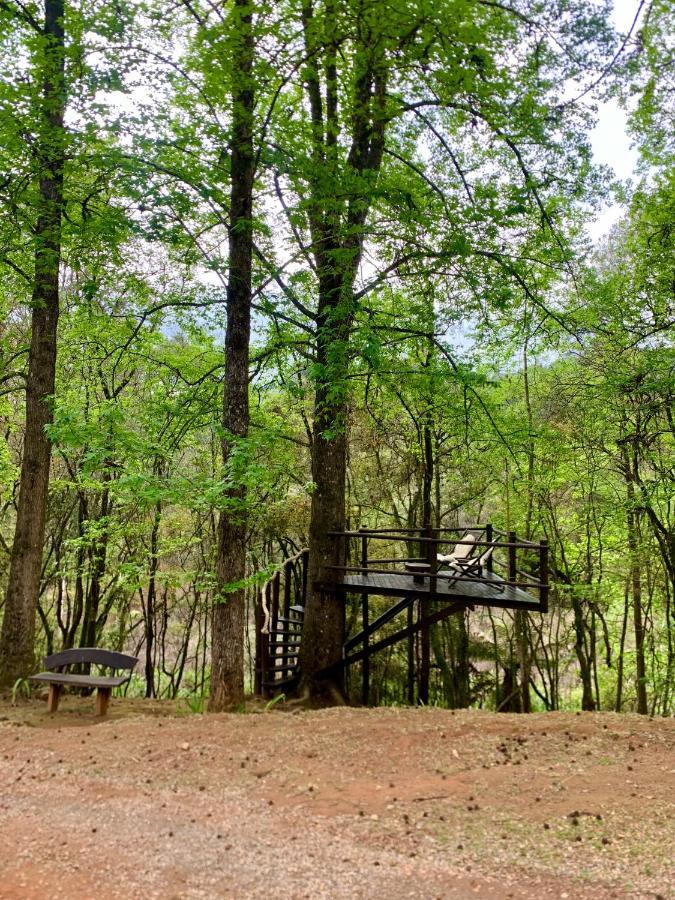 Chale De Luxo Pertinho De Monte Verde مونتي فيردي المظهر الخارجي الصورة